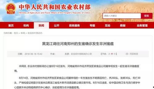 猪瘟最新爆料消息新闻,揭秘病毒传播途径与防控措施